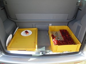 RTF Celler Land 299